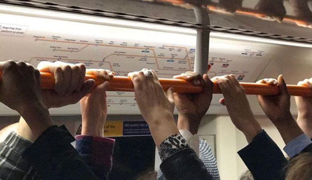 Welcome to the Jungle!